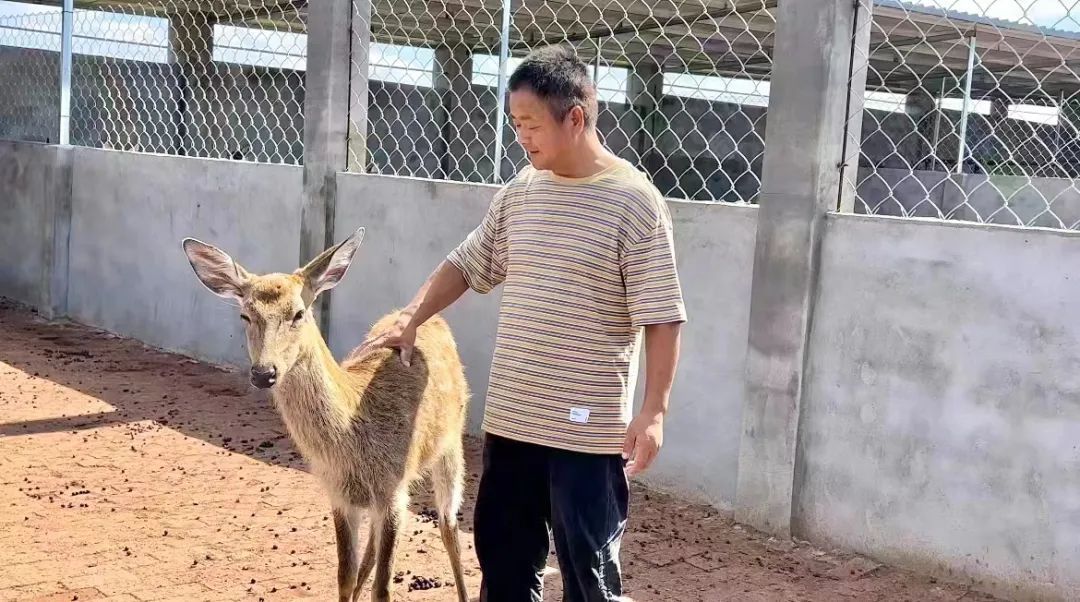 乐虎游科技